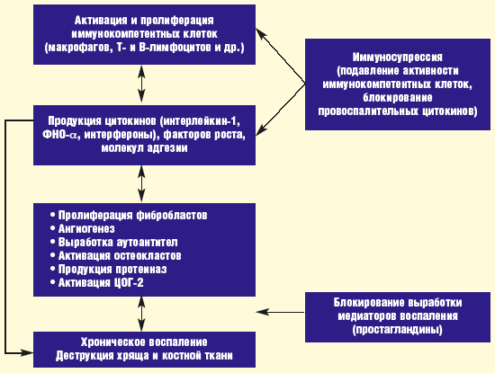 Журнал Научно-Практическая Ревматология 1 2007