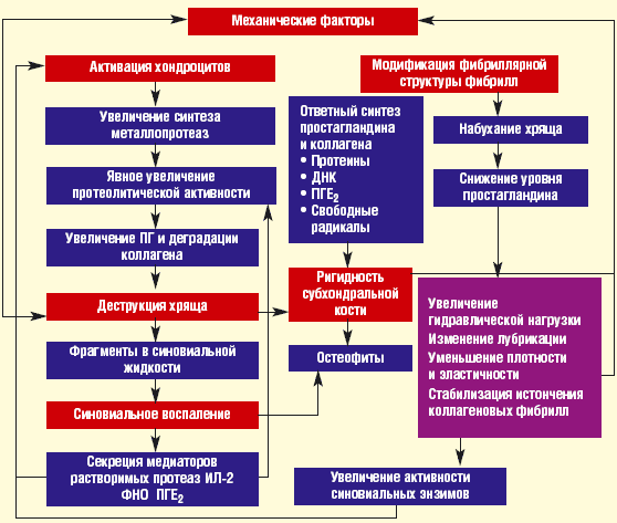 Остеоартрит презентация госпитальная терапия