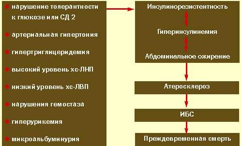 Сиофор при инсулинорезистентности. Инсулинорезистентность патогенез. Инсулинорезистентность и ожирение. Инсулинорезистентность при ожирении. Инсулинорезистентность живот.