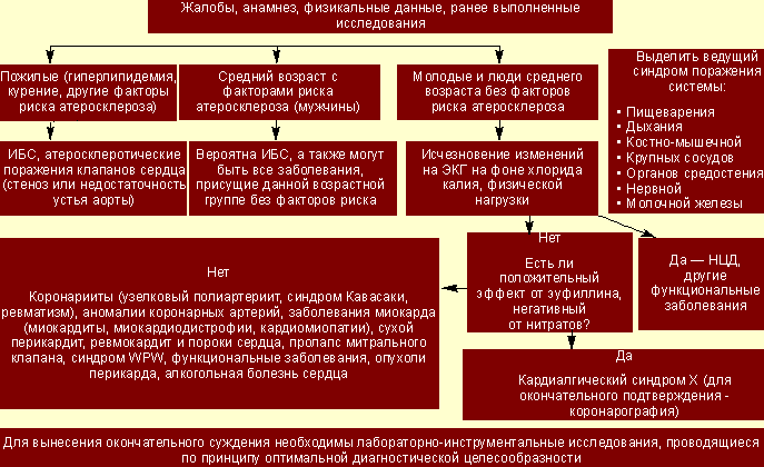 Дифференциальный диагноз болей