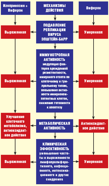 Вирус эпштейна барр схема лечения