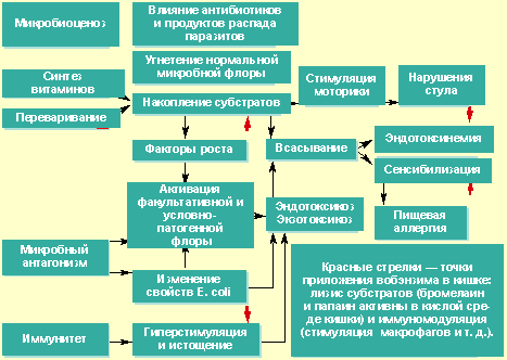 Схема лечения лямблиоза