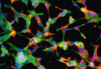 Новая система доставки препаратов