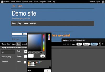 В Drupal есть масса дополнительных модулей, которые расширяют ее возможности, но их использование подчас требует немалого труда