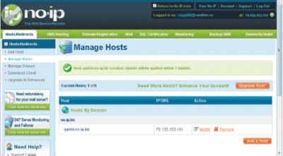 Рис. 1. Настройки сервиса no-ip.com