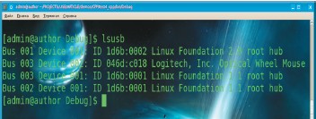 Пример запуска команды lusb