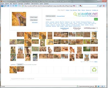 Поисковик Xcavator позиционируется как решение для профессионального поиска