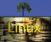 Linux: интерфейсные стандарты и профили