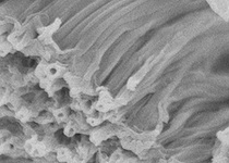 Горизонты медицинского «хайтека»